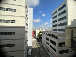 Macpherson Garden Estate (D13), Factory #501546281